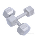 Free Weight Exercises Dumbbell Front Raise (SD-007)